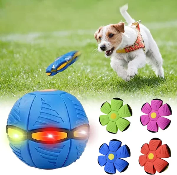 Pelota Platillo Volador