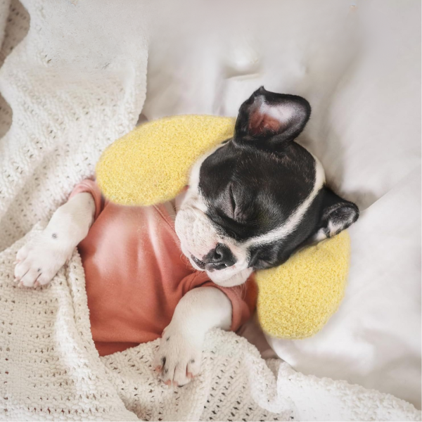 Almohada para Mascotas - Imagen 2