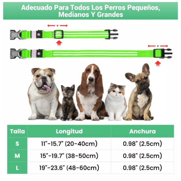 Collar Reflectivo Para Perro