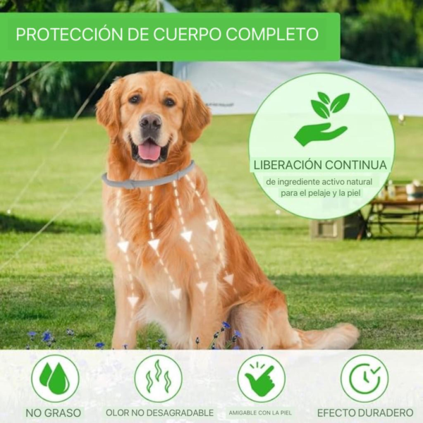 Collar antipulgas para mascotas