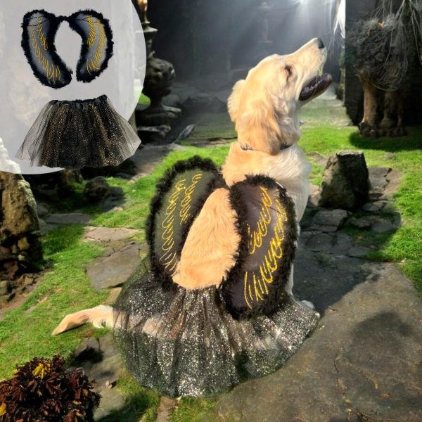 disfraz para mascotas