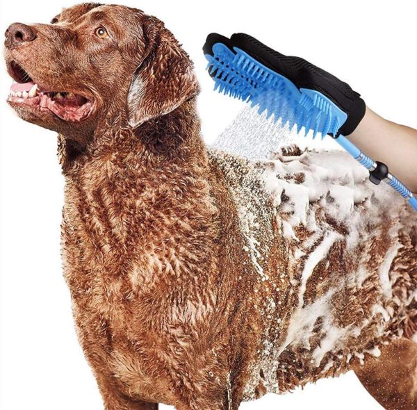 Accesorios para mascotas