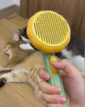 Cepillo removedor de pelo para mascotas