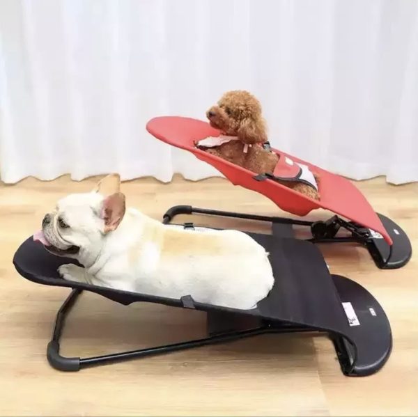 Cama mecedora para perros