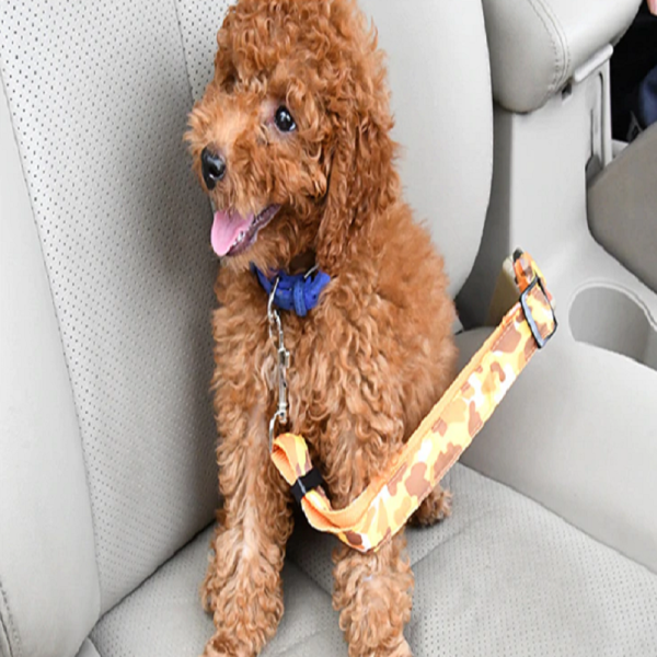 Cinturón de Seguridad para Perro