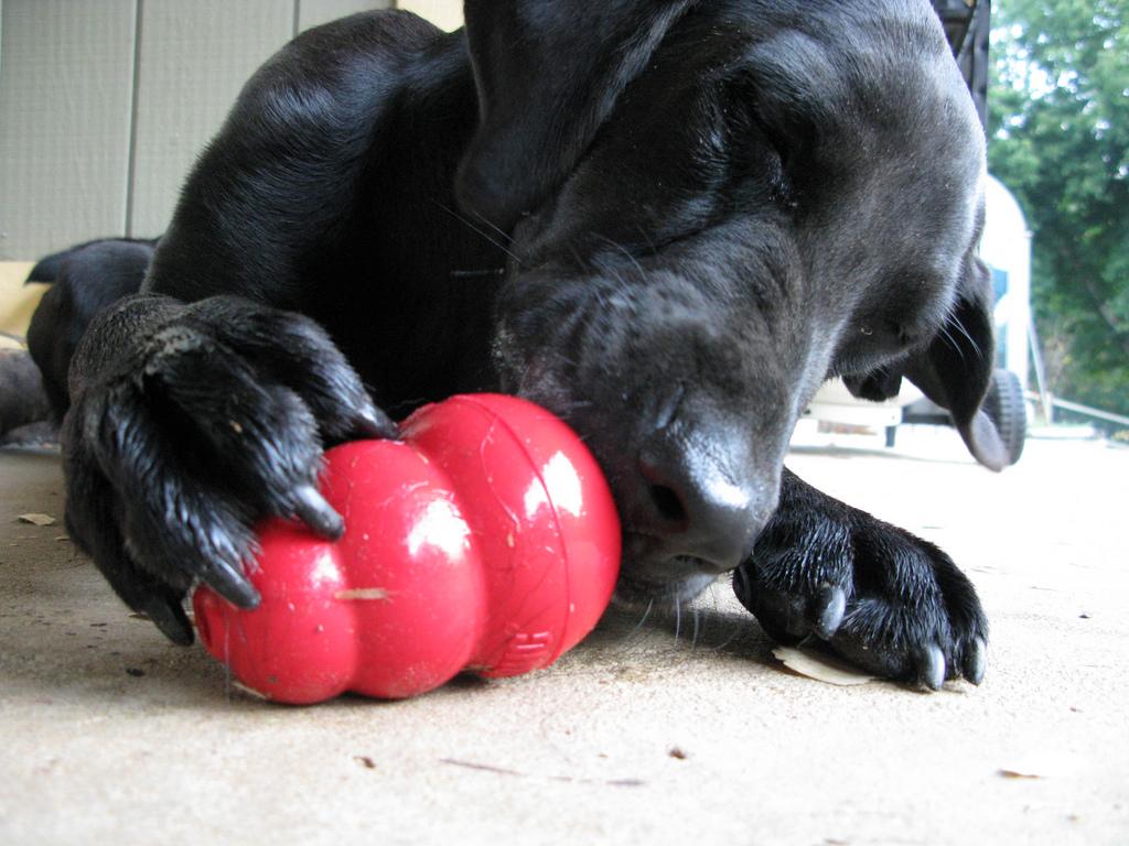 juguete rellenable kong classic