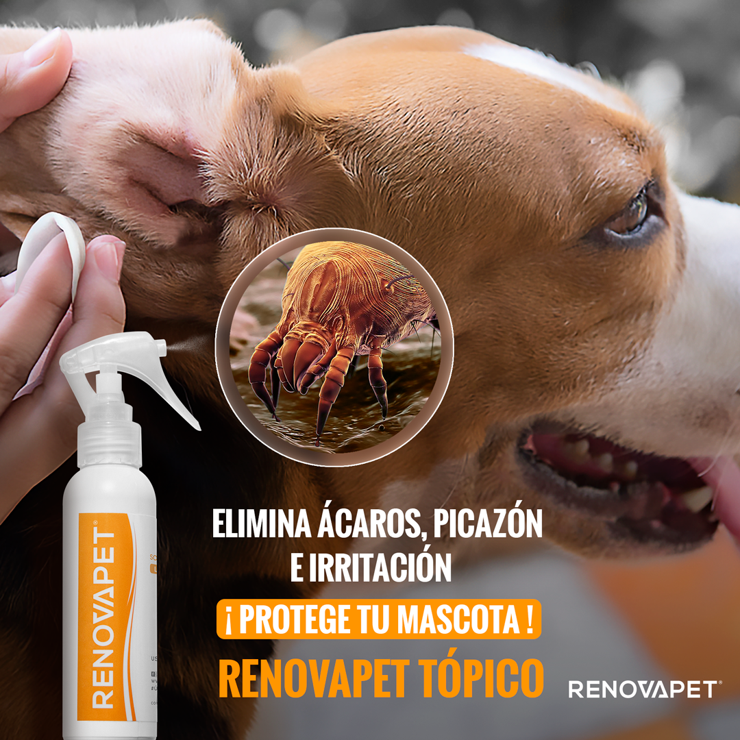 Los mejores accesorios para consentir a tu mascota 3 Higiene de mascota