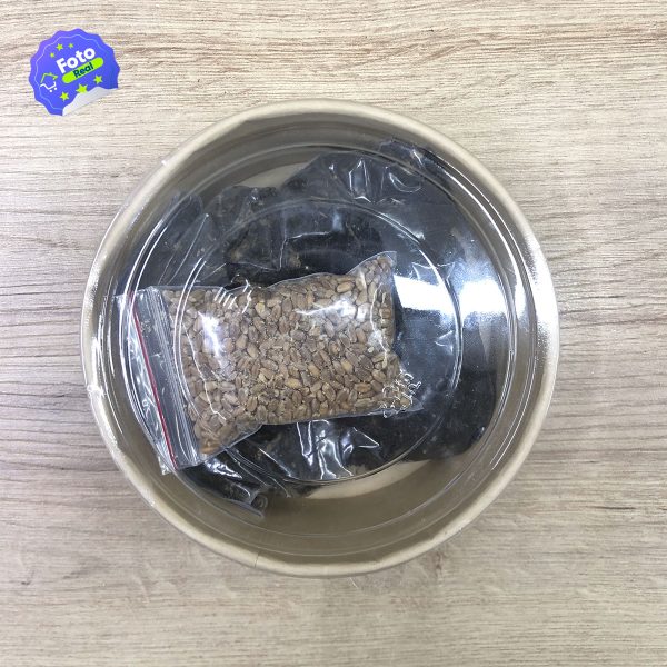 Hierba Comestible para Gatos HPSM-1