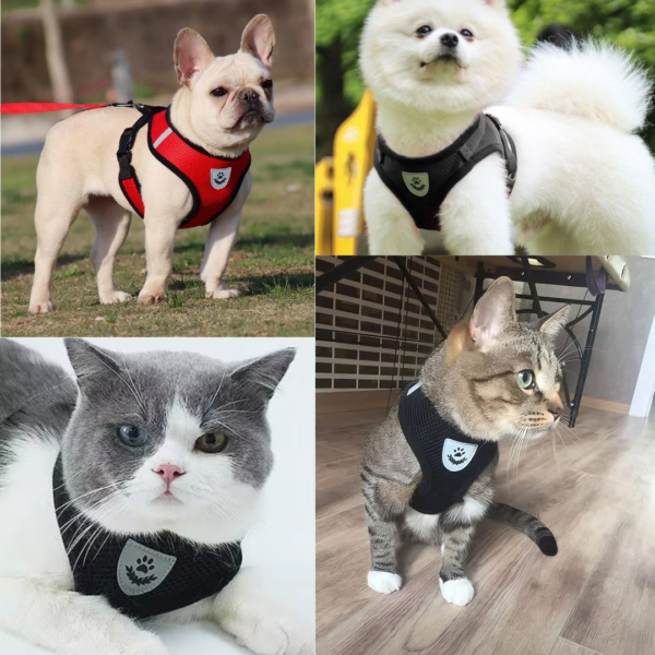 Arnés Pechera Chaleco para mascotas