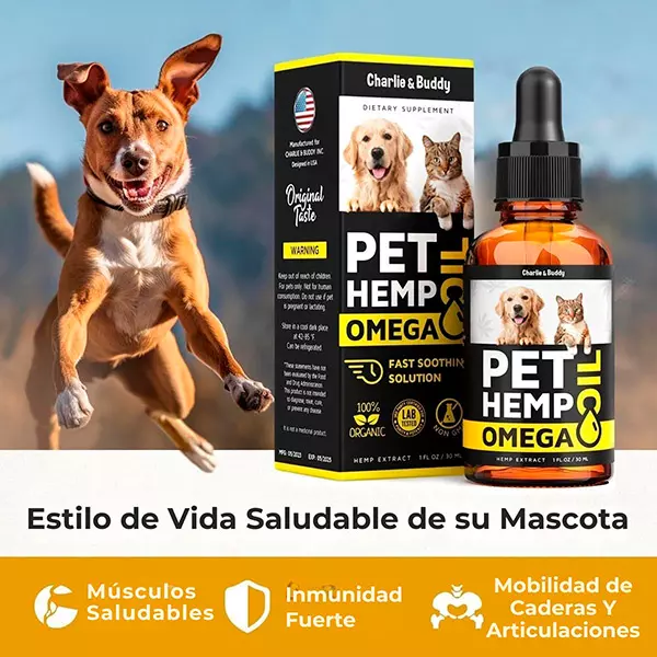 La Triste Realidad: 8 de Cada 10 Mascotas Sufren Esto Sin Que Lo Sepas 1 Aceite Omega con Hemp para una vida saludable de tu mascota