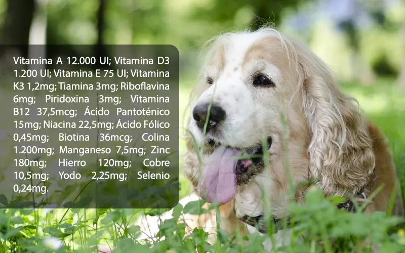 Finotrato Gold: Alimento Premium para Perros y Gatos en Colombia 1 Ingredientes saludables de Finotrato Gold: proteínas, vitaminas y minerales