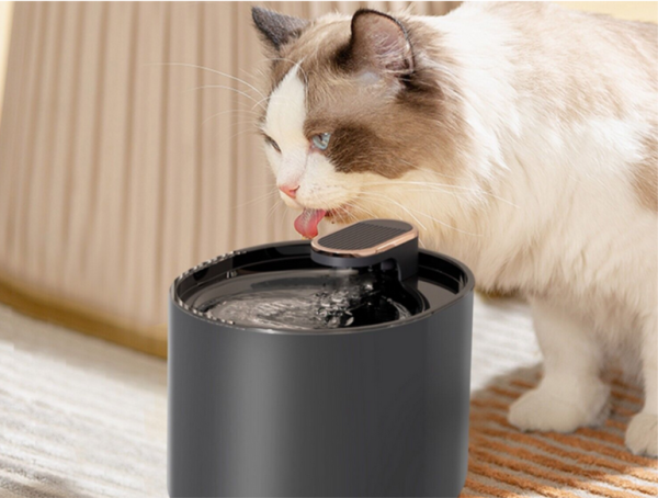 Fuente de agua para gatos