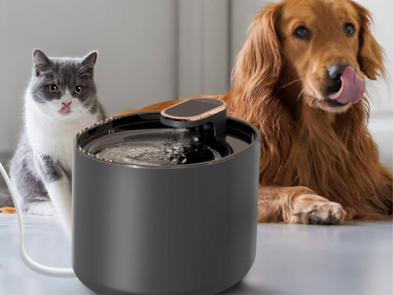 Fuente de agua para gatos