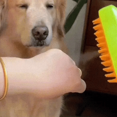 Cepillo a Vapor 3 en 1 para mascotas – Eliminación de pelo y masaje para perros. Cepillo a Vapor 3 en 1 en acción, eliminando pelo y proporcionando masaje relajante a un perro.