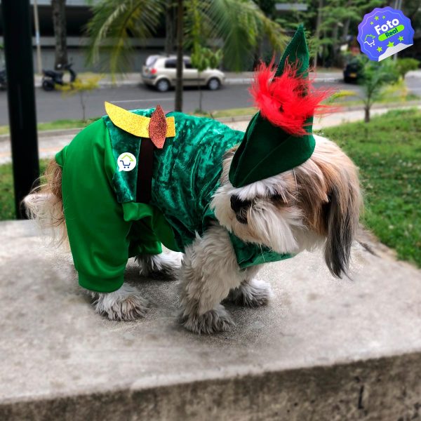 disfraz para mascotas