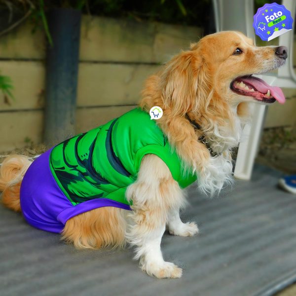 disfraz para mascotas