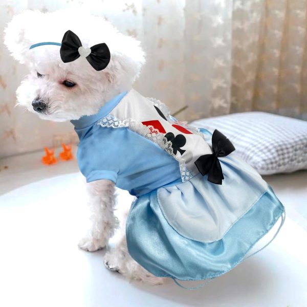 disfraz para mascotas