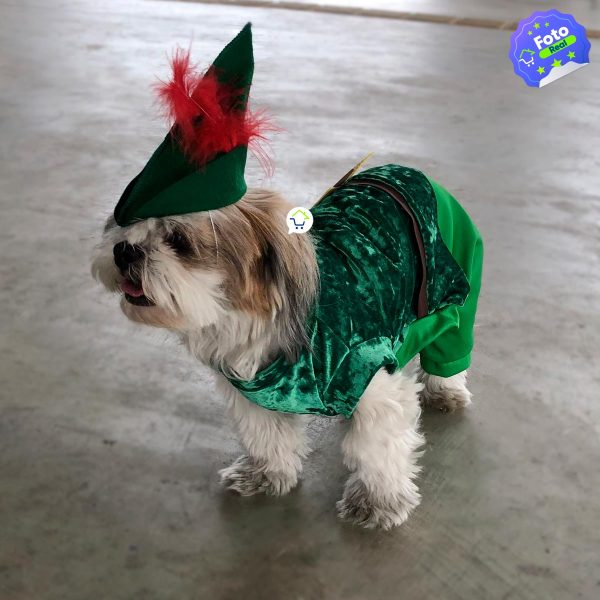 disfraz para mascotas