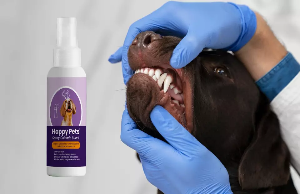 Limpieza Bucal para perros - Happy Pets