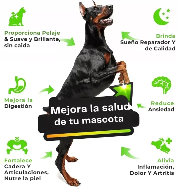 Beneficios del Aceite Omega Hemp: pelaje, sueño, digestión, articulaciones y más