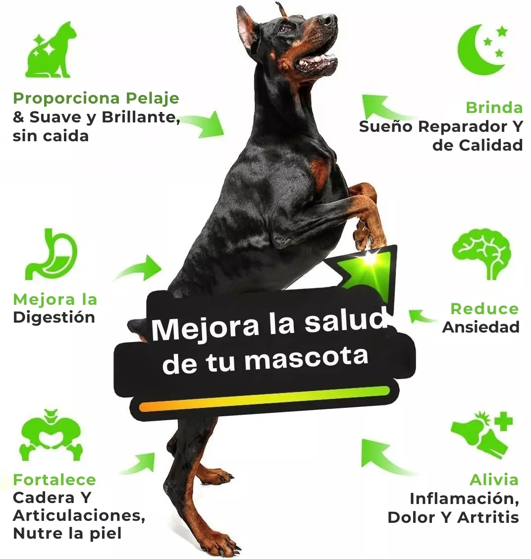 Beneficios del Aceite Omega Hemp: pelaje, sueño, digestión, articulaciones y más