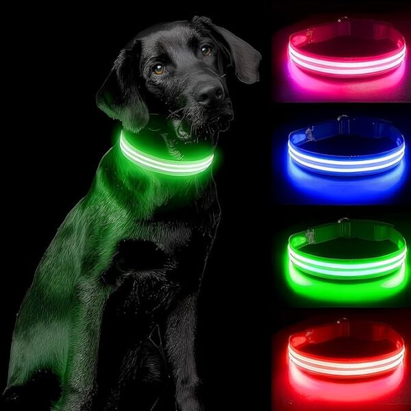 Collar Reflectivo Para Perro