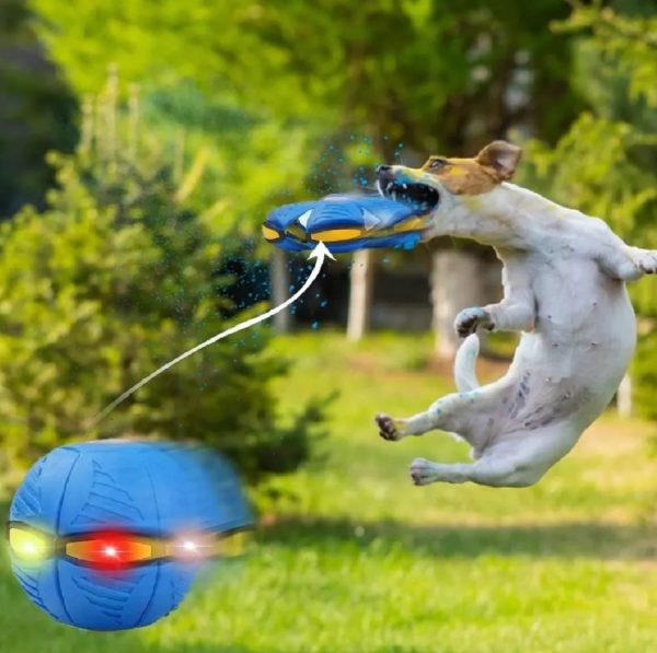 Pelota platillo volador - Imagen 2