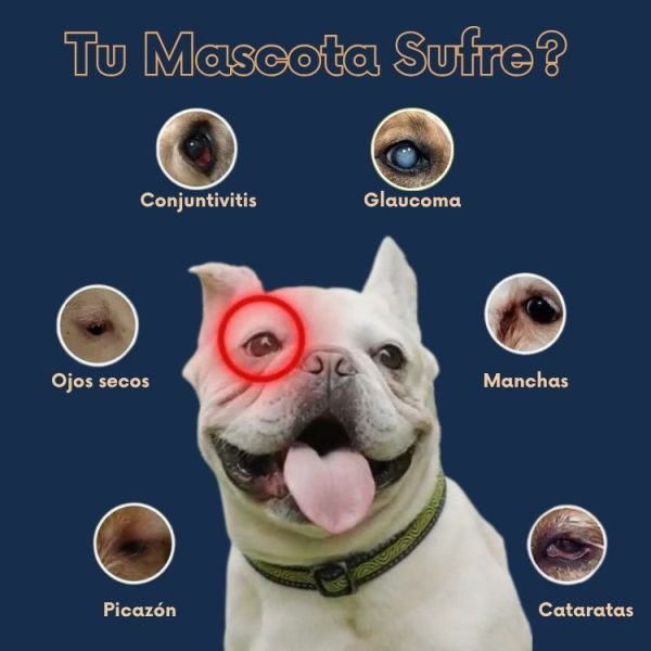 Pets Vision - Regenerador Ocular para Mascotas - Imagen 3