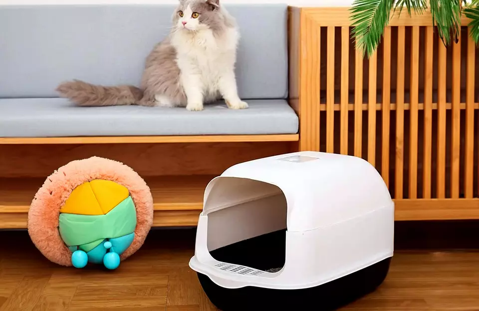 Arenero para gatos caseros