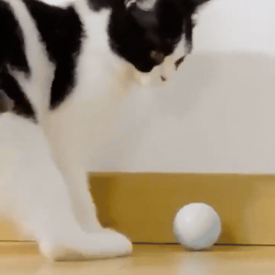Pelota inteligente para gatos y perros