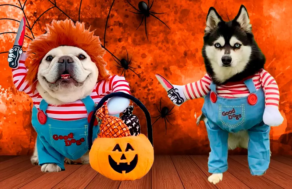 Disfraz de chucky para perros