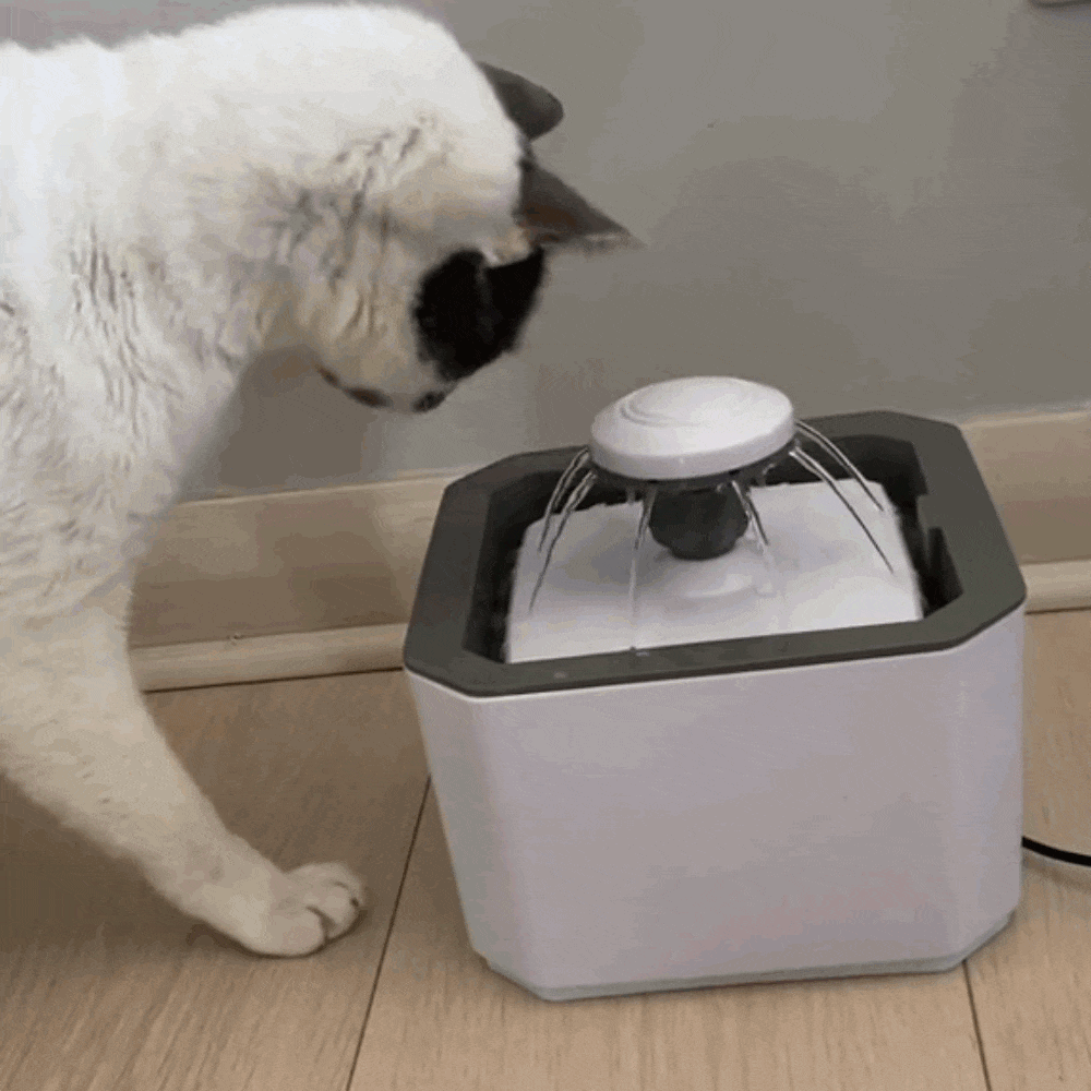 Fuente de agua para mascotas 2.5L
