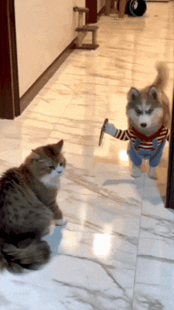 Disfraz de Chucky para Perros Disfraz de Chucky para Perros