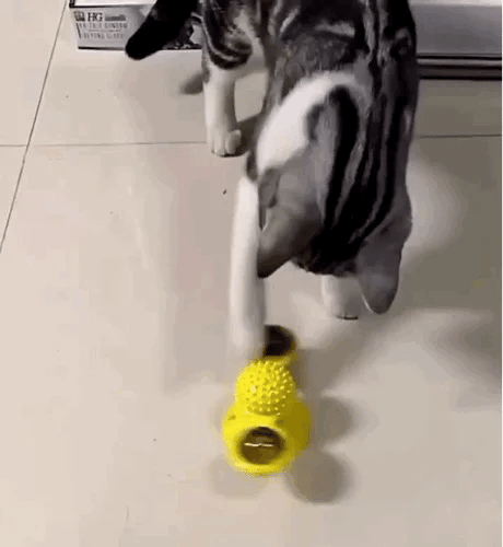 Juguete Molino para Gatos