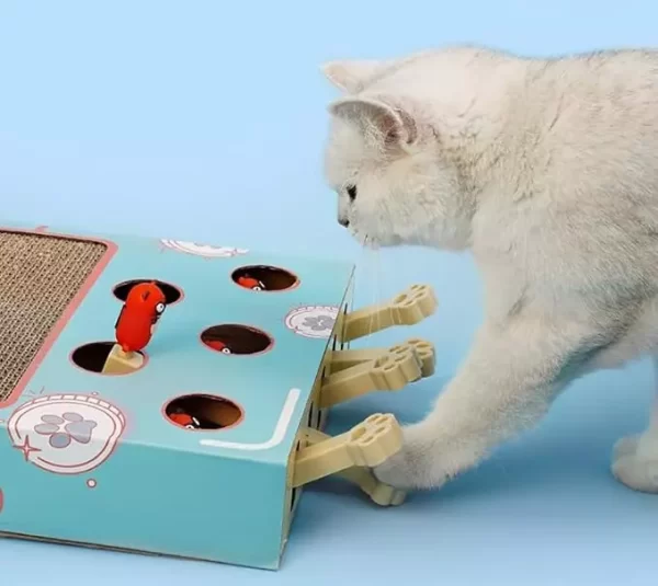 Gato jugando con el Juguete 3 en 1 – Rascador y juego interactivo