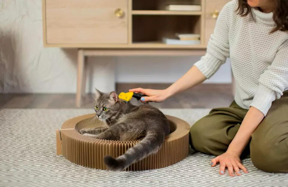 Juguetes para reducir estres en gatos