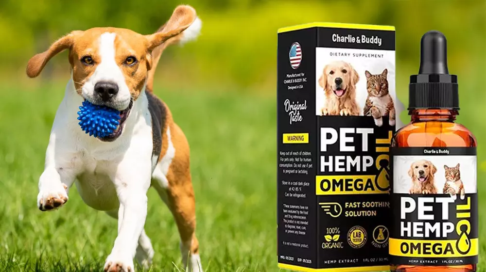 Perro y gato relajados después de usar Pet Hemp Omega Oil aceite natural