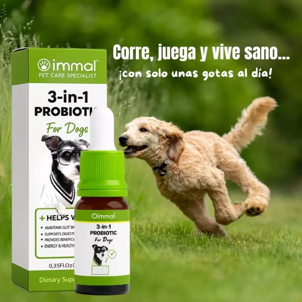 Perro corriendo con energía junto a un frasco de probióticos para perros